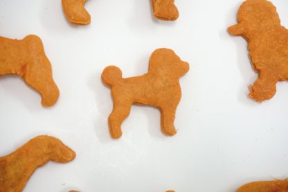 Gesunde Hundesnacks online unverpackt shoppen