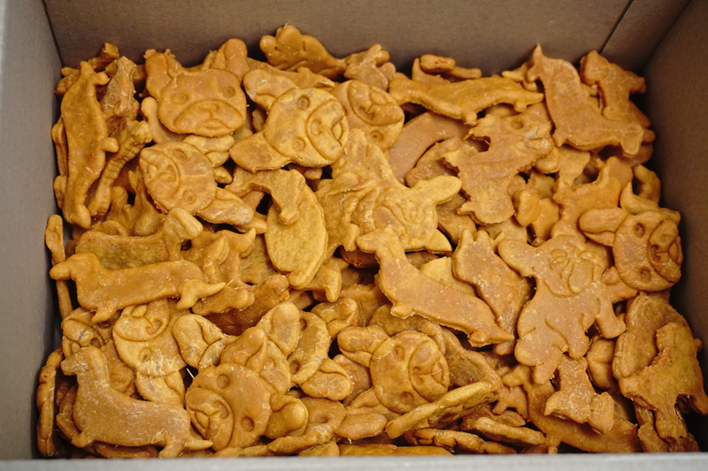 Feu que els snacks per a gossos vegan zero residus a casa vostra mitjançant DHL GoGreen.