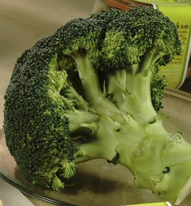 Brokkoli ist eine sehr gesunde Zutat für die Hundesnacks von hundsfutter