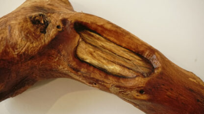 看起來像典型的帶骨伊比利亞火腿。 但它是純素的，豬可以保住它的腿