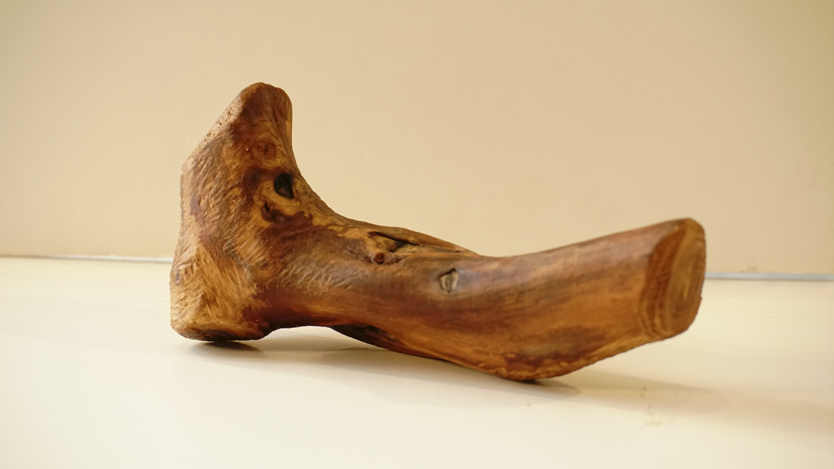 Wegańskie kości do żucia dla psów wykonane z drewna oliwnego
