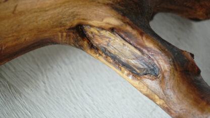 Los huesos de mascar de madera de olivo veganos naturales solo están hechos por hundsfutter hecho de esta forma.